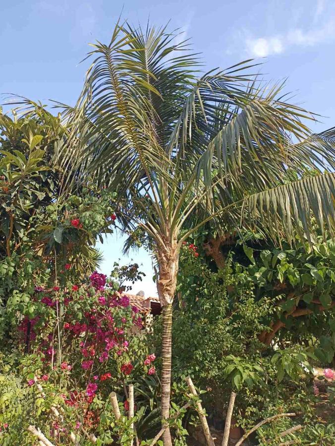 Palm-Tree Apartment Arkoudi Exterior photo